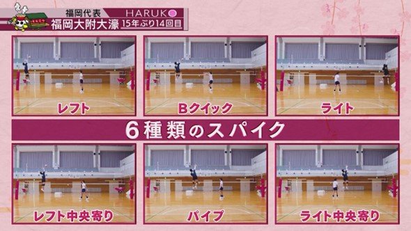 6種類のスパイクを駆使する新山選手の攻撃パターン