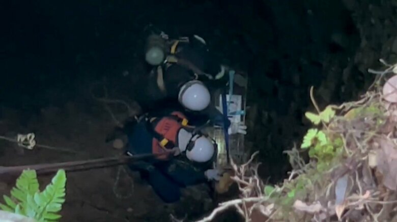 ネコがケージに入った瞬間