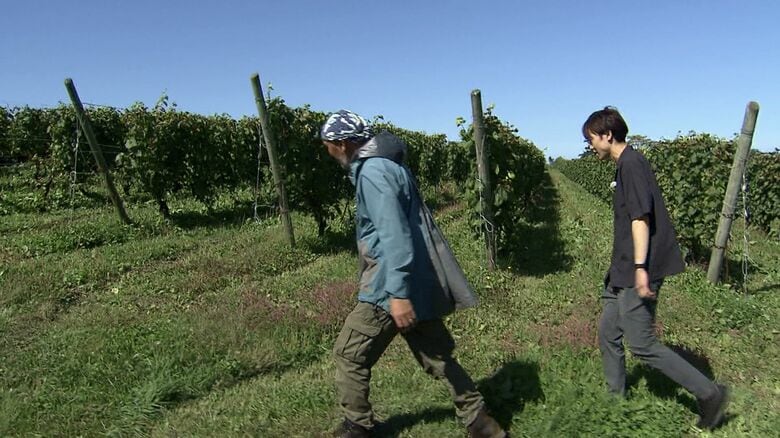 北海道余市町のワイナリー