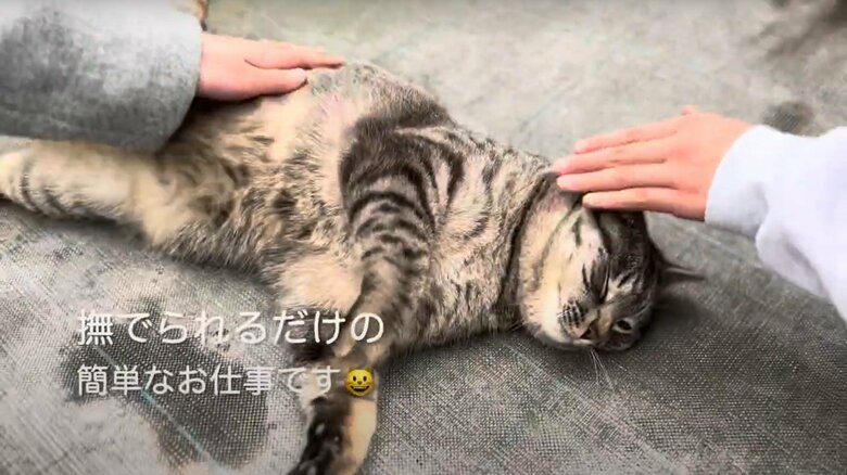 コタローくんの日常（5）