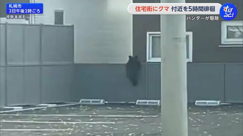 札幌市南区の住宅街に、2日午前11時半ごろから体長70cmほどの子グマ1頭が出没