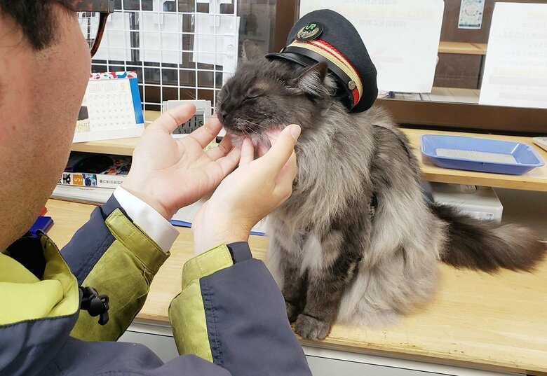 職員たちの癒やしにもなっていた