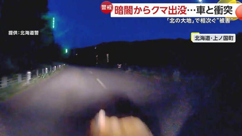 クマと衝突する衝撃的な瞬間（3日午後7時半頃、北海道・上ノ国町）④