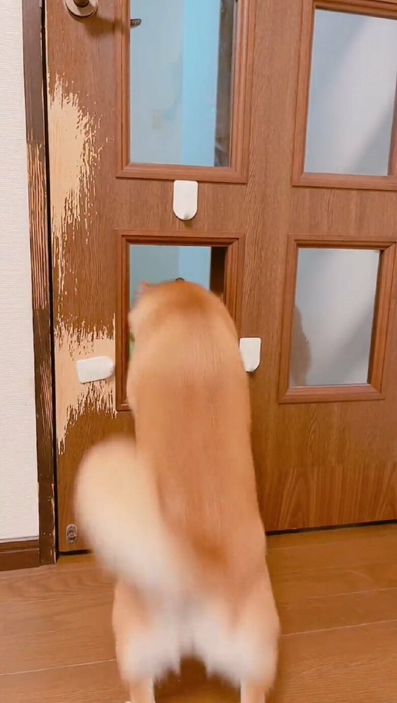 ミントちゃんが先に通過