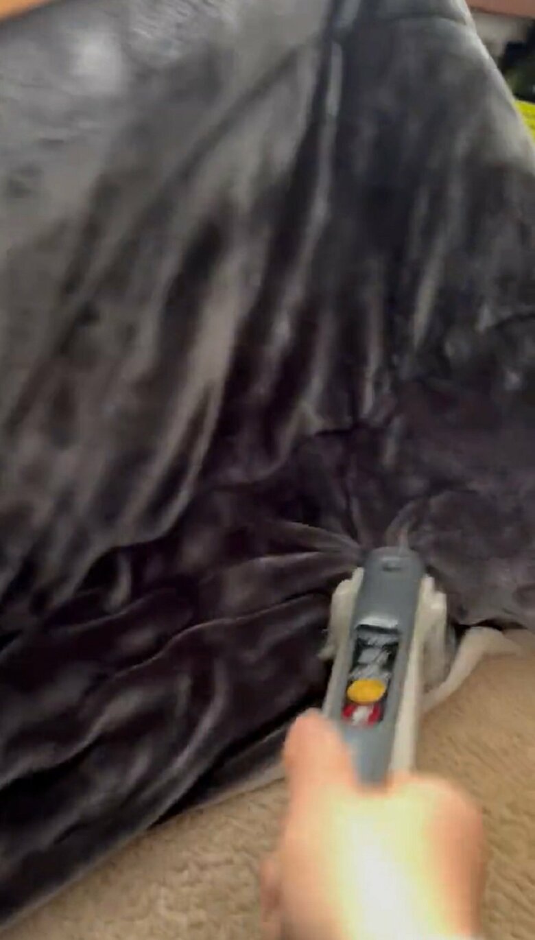 こたつ布団に戻ると…