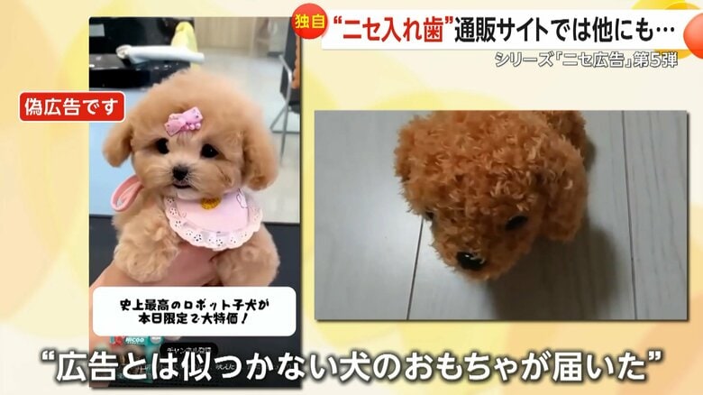 広告とは似ても似つかない犬のオモチャが届いたAIロボット犬