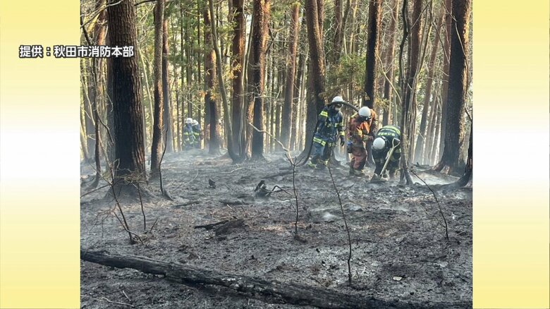山林火災現場で懸命の活動をする緊急消防援助隊員