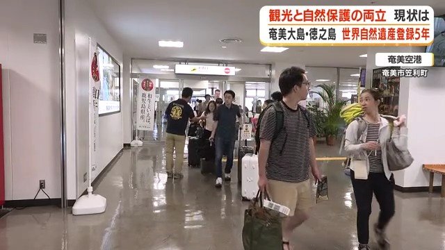 奄美大島を訪れた人々