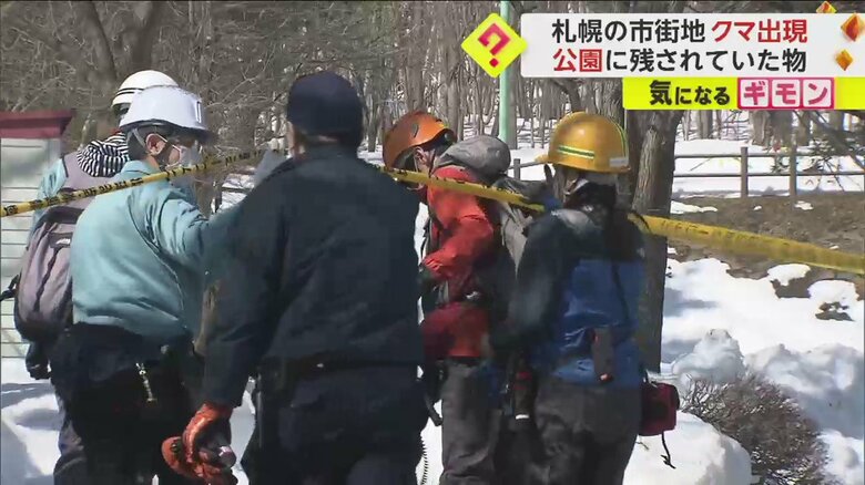 公園を立ち入り禁止にして調査する市の職員