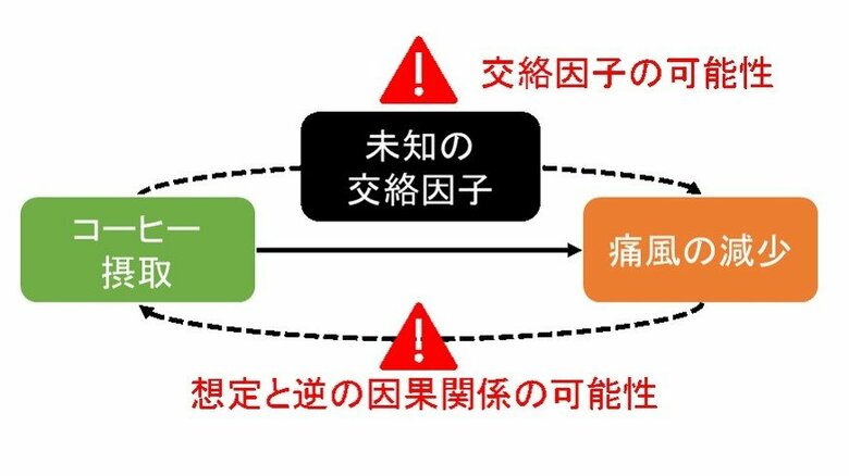 今回の調査の経緯（提供：研究グループ）