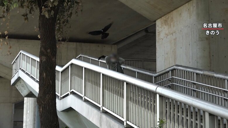 歩道橋を渡る歩行者を襲う