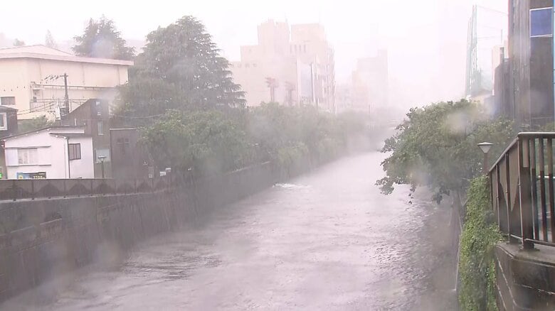 2026年6月3日午前9時半頃の目黒川