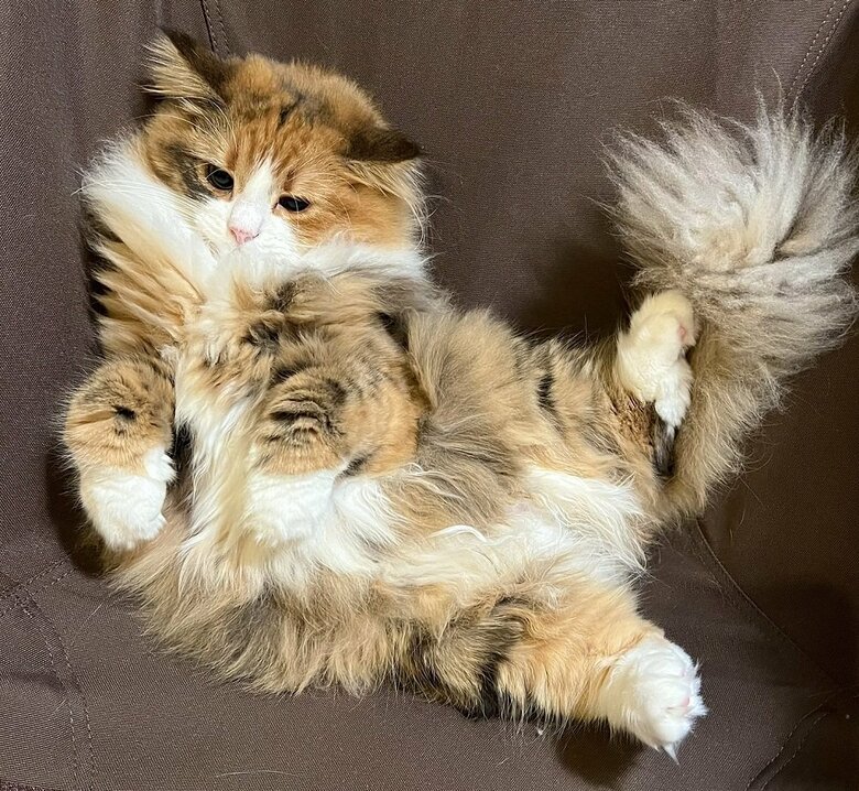 天真爛漫な女の子