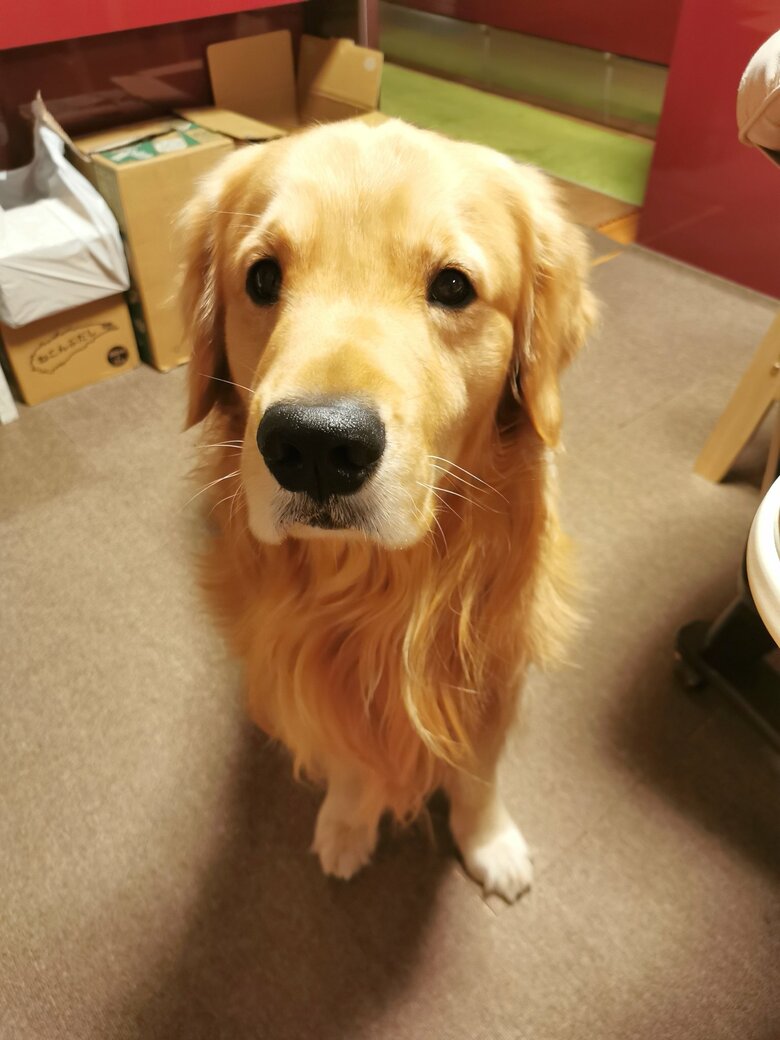 提供：ふぉるてさん