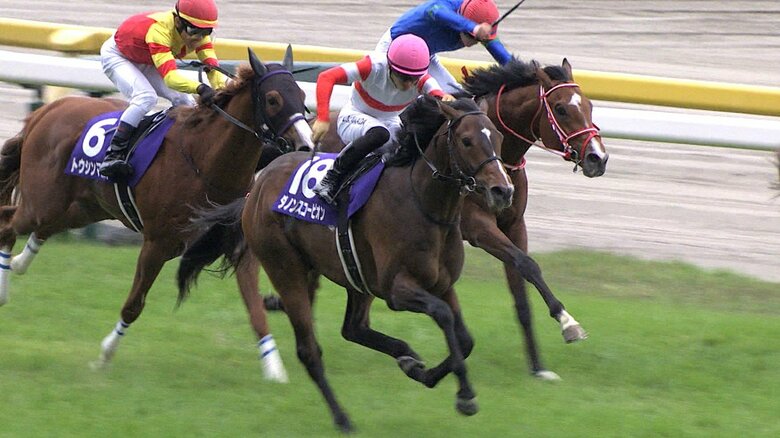 2022年 NHKマイルCを制した ダノンスコーピオン