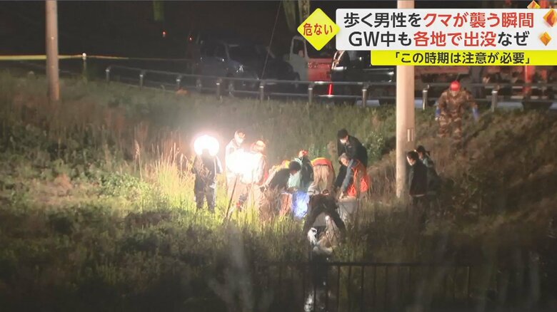 現場では、側溝の中にいるクマに、吹き矢で麻酔を打ち、眠らせる捕獲作戦が行われた。
