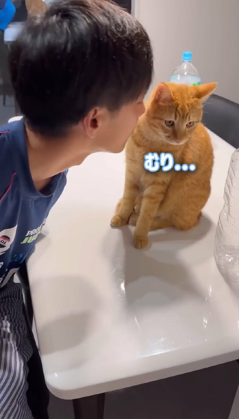 「むり…」と顔をそむける