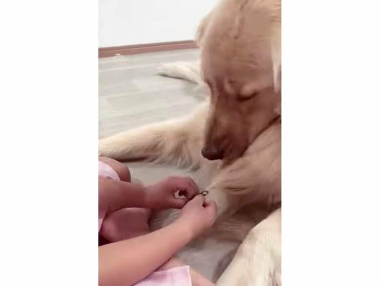 提供：西村 まひろさん