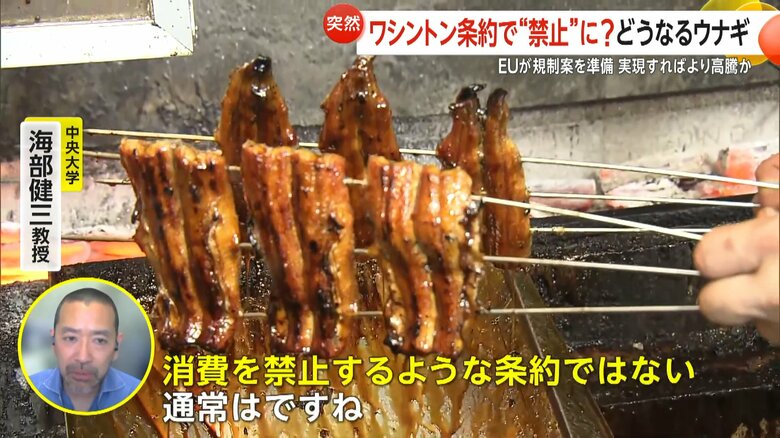 ウナギ保全について語る中央大学・海部健三教授