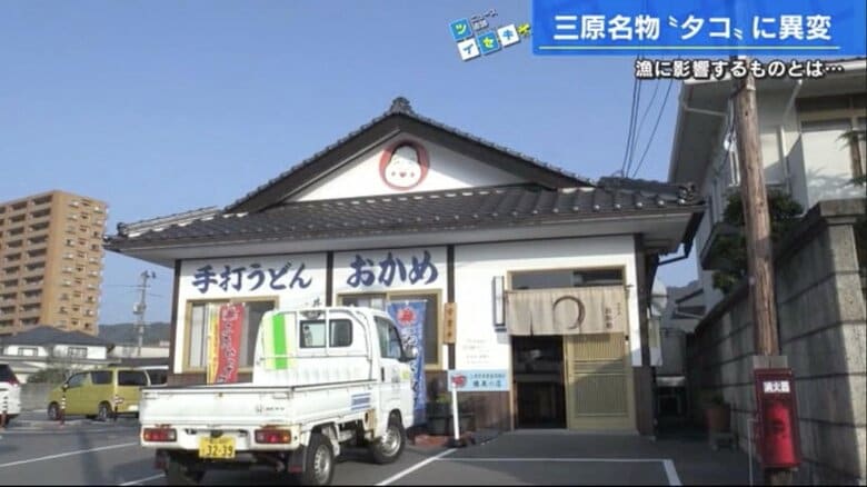 三原のタコ天が人気の「手打ちうどん おかめ」