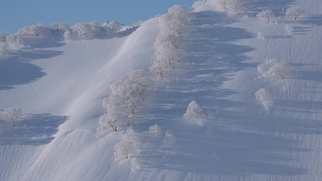 朝日のさす雪景色