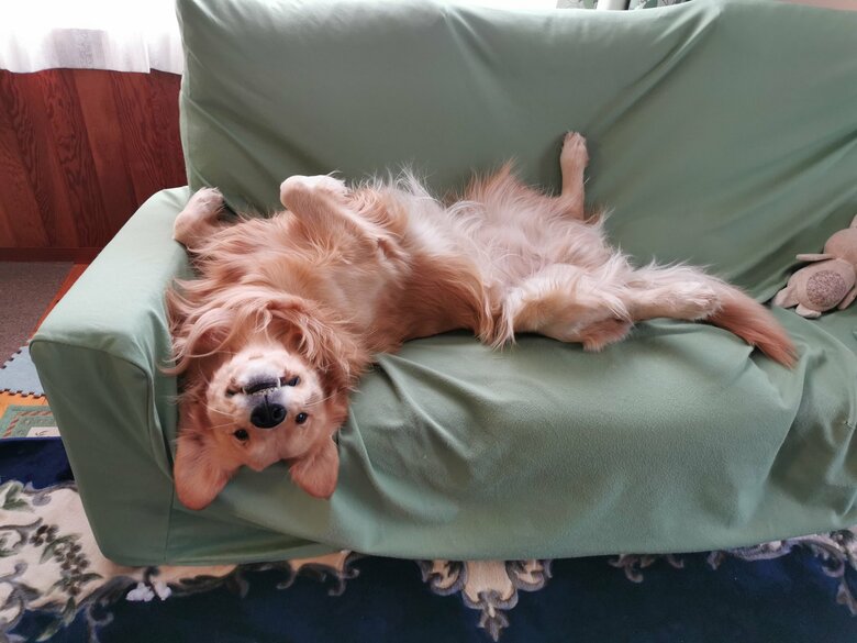 提供：ふぉるてさん