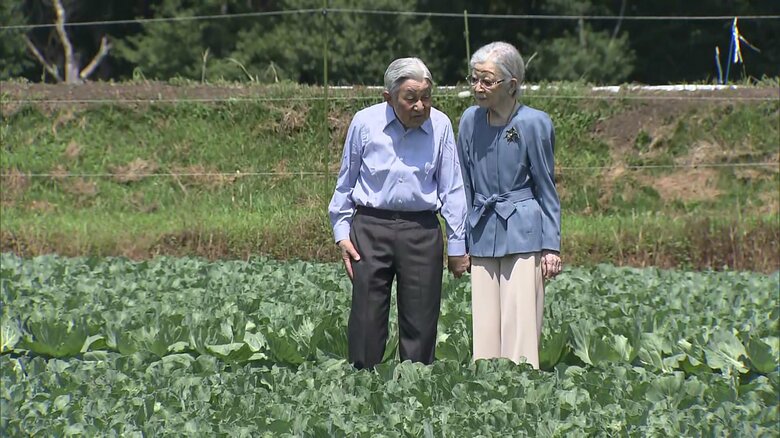「大日向開拓地」でキャベツ畑を散策される上皇ご夫妻
