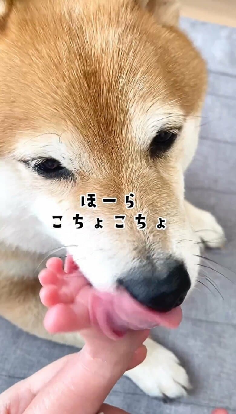 次男くんの足をこちょこちょ