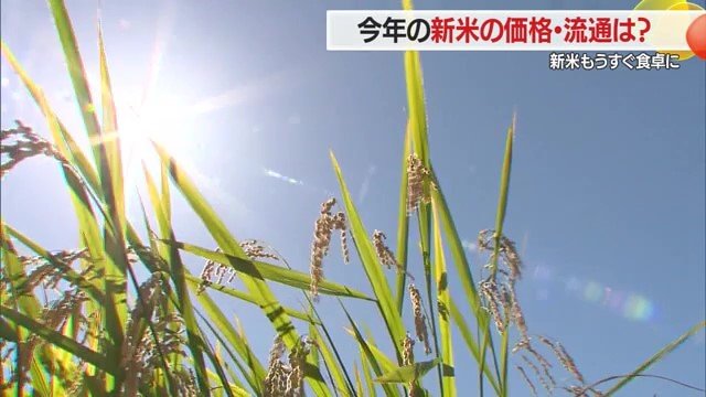 コメにまつわる価格・流通の問題は、ことしに限らず今後も常につきまとうのだろうか