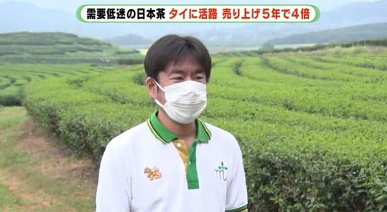 古橋社長：日本茶はタイで高く売られていた