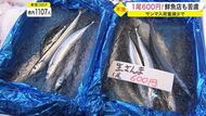 1尾600円…今年もサンマ高騰 温暖化で日本から遠のく漁場 “秋の味覚”食卓に残すには…【宮城発】