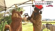 農業のかたわら“チェーンソーアート”で制作活動を行う女性を取材　夢は「地域を木彫りアートで彩ること」