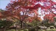 《福島の紅葉》白河・南湖公園　去年より1週間早く見ごろに　9日まではライトアップも