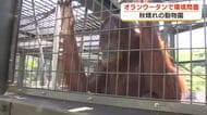 オランウータンから環境問題を考える　日本平動物園で親子イベント　静岡市駿河区