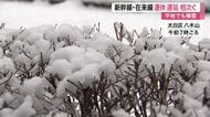 宮城県内で雪や雨 平地でも積雪　東北新幹線や在来線など交通機関に影響 午後は曇り空となる見込み