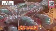 緑色の卵抱えて鮮やか！ボタンエビ漁が最盛期_北海道南部の森町でエビかご漁_水揚げは次第に向上「これからに期待」オオズワイガニは急激に減少（北海道森町）