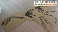 恐竜の“仕組み”パズルで学ぼう　福井県立大学恐竜学部が段ボール製の骨格パズル監修　フクイラプトルなど3種類　市販も予定