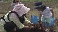 食欲の秋も本番！サツマイモの収穫にニジマスのつかみ取りも　鹿児島市で子どもたちが秋の味覚楽しむ