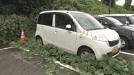 新幹線駅駐車場に長期間車両を放置、「苔むした車輪」や「ヒビ入りガラス」など車8台…3年半以上放置も　黒部市が所有者を相手取り駐車場明け渡し求める訴訟へ