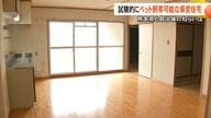 全国的にも珍しい　原則ペット禁止の県営団地で試験的にペット可能に「入居者促進の一環に」「人と動物の共生へ」【熊本発】
