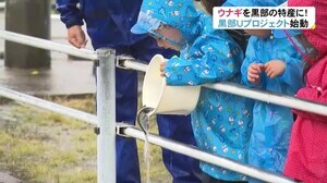 ウナギを新しい特産に…「黒部U(ユー)プロジェクト」スタート