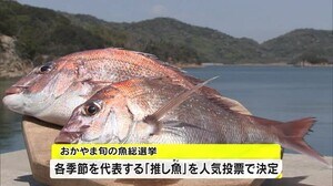 春はサワラ 冬は〇〇?“推し魚”を選ぶ「おかやま旬の魚総選挙」結果発表!【岡山】