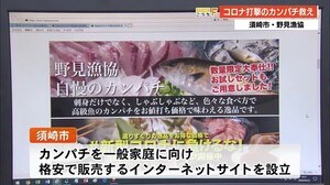 20万匹のカンパチを救え!“カンパチプロジェクト”スタート【高知】