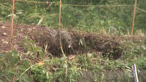 山形・鶴岡市鼠ヶ関の工事現場に身元不明遺体