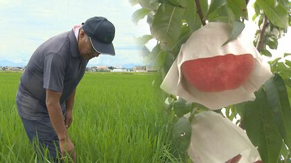 農家悩ます“早すぎる梅雨明け”　電気代高騰で農業用水供給にも異変【新潟発】