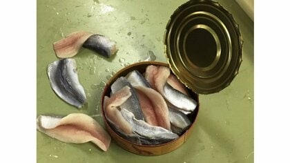 作るのに防毒マスクを装着!?“世界一臭い食べ物”のフードサンプル製作工程がすごい…担当者にどれだけ大変だったか聞いた