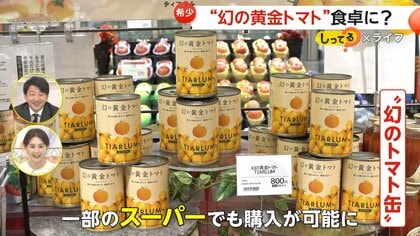 1缶800円！幻の“黄金トマト”が食卓に…取り扱うレストランやスーパーが増加　糖度高く“うまみ”成分が豊富　贈答用としても人気