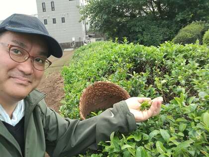 価値が低いとされてきた二番茶を世界に通用する和紅茶に。ある和紅茶研究家の17年史。