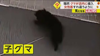 “子グマ”がショッピングセンターに侵入　女性客とすれ違うように店へ「暴れることなくうろうろ…」　岩手・北上市