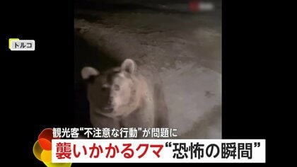 「閉めて！閉めて！閉めて！」クマが車に襲いかかる“恐怖の瞬間”　人気観光地で餌あげようと近づき…撮影目的の接近に注意喚起　トルコ